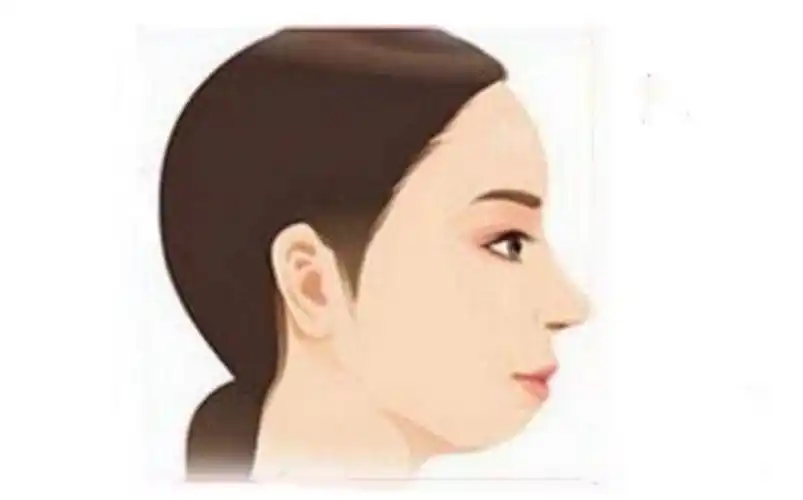 w型下巴面相分析(w型下巴是什么脸型)