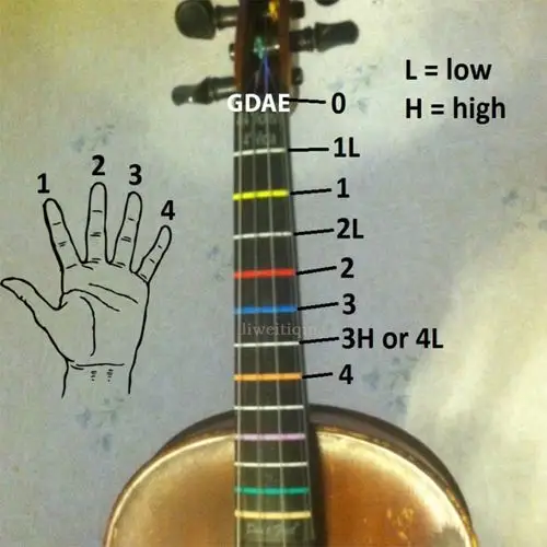 美国小提琴位贴指位贴儿童初学者音阶指法配件大提琴其它乐器配件
