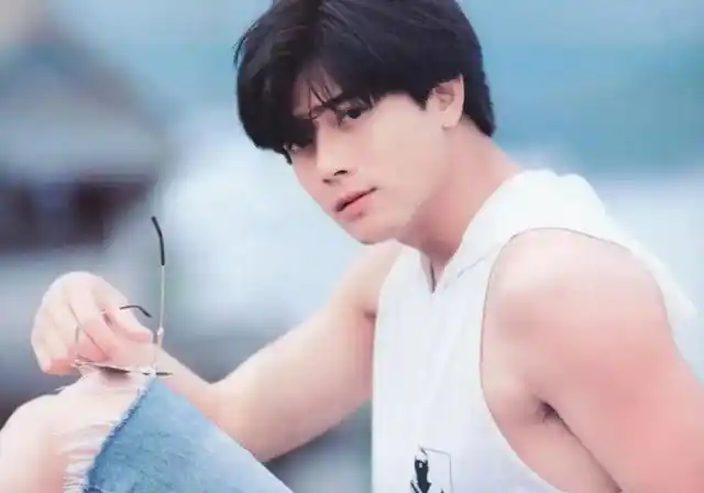 年轻时最帅气的男明星每一位都是时代第十位你还记得吗