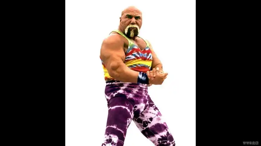 wwe超级巨星的肌肉图片《wwe选手高清图片》(45)