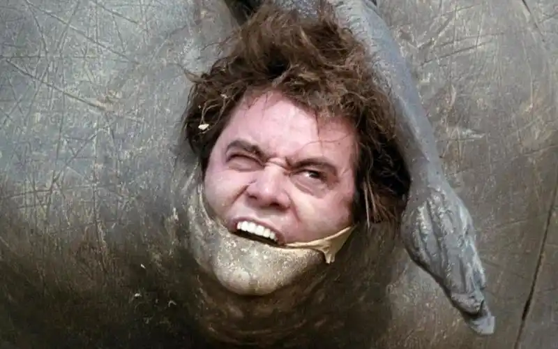 盘点8部让人笑喷的喜剧电影,《疯狂的石头》国产黑色喜剧的巅峰