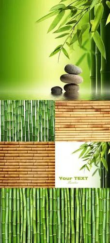 竹子背景高清图片素材-图片-视觉中国下吧