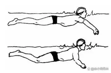 游泳技术详解蛙泳的技巧与特点如何彻底学好蛙泳