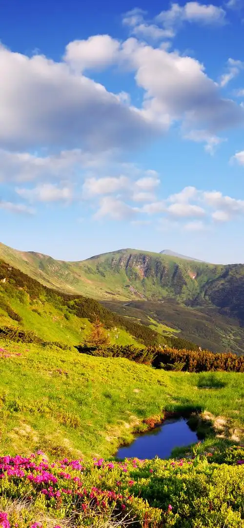 大自然唯美景色竖屏壁纸