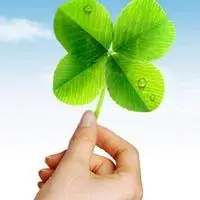 幸福好运常伴您四叶草 卡通男孩图片四叶草情侣头像雾 四叶草微信搜索