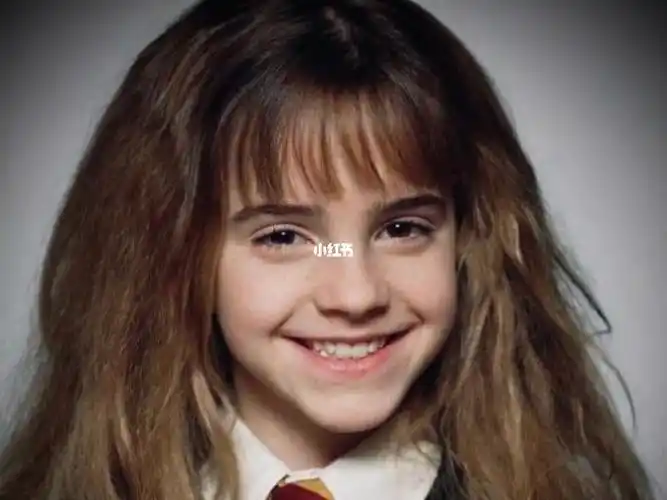 "赫敏最后还是嫁给王子了呀!