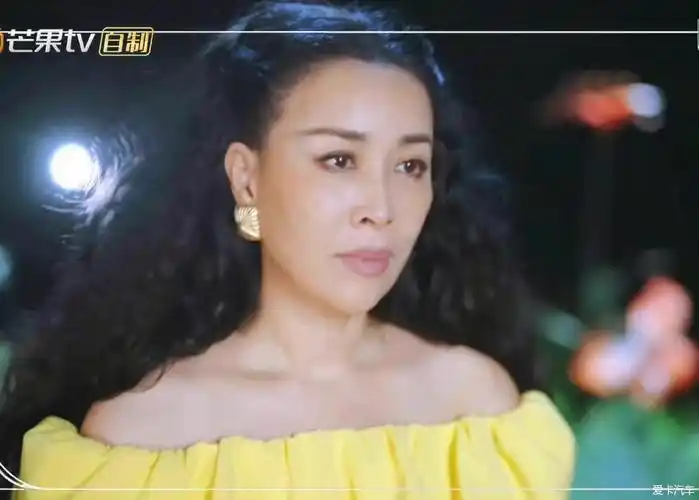 那英儿.-爱卡汽车网论坛