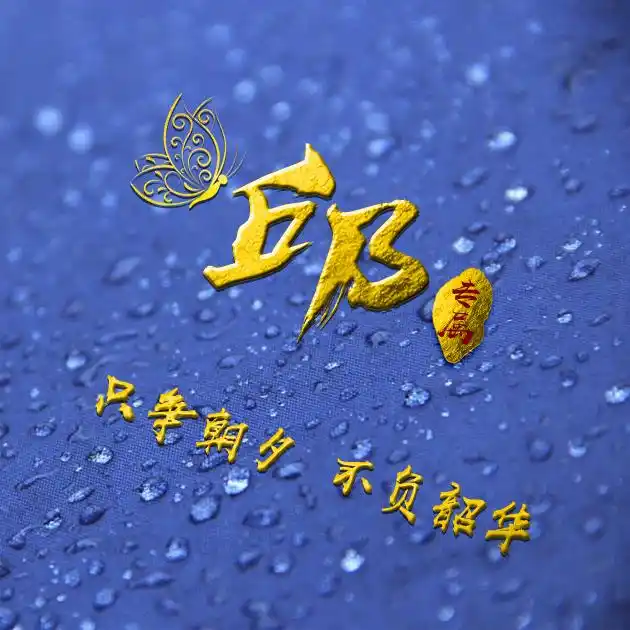 编号b02932张百家姓微信头像励志专属只争朝夕不负韶华