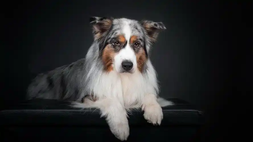 欢迎点赞收藏,关注@壁纸颜究员,不定期为大家更新4k高清无水印壁纸!