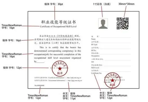 职业技能等级证书怎么获得哪里查询来看