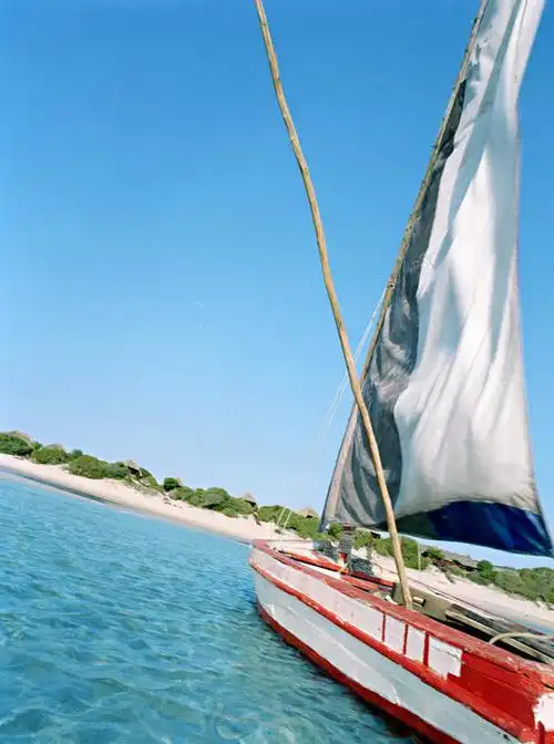 帆船,无人,竖图,俯视,室外,白天,海浪,海洋,植物,船,浪花,桅杆,树