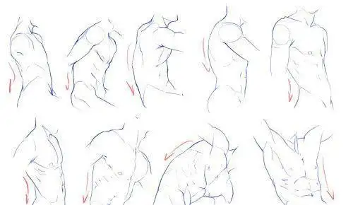 背部肌肉简笔画简笔画古风女孩背影的画法人体后背骨头分布图简笔画