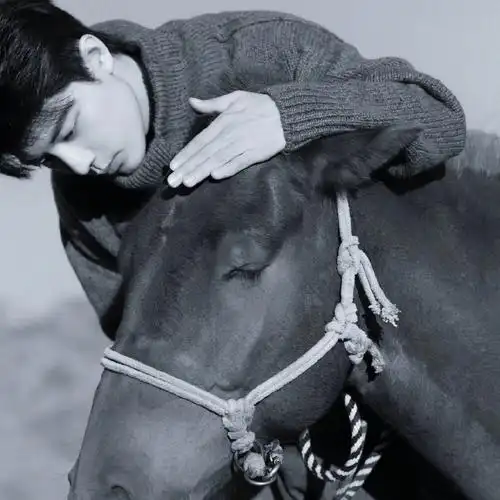 一些绝帅头像时刻肖战