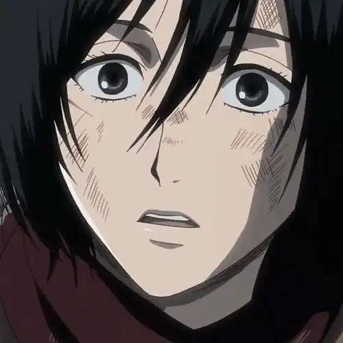 进击的巨人【三笠 阿克曼】头像精选_网络