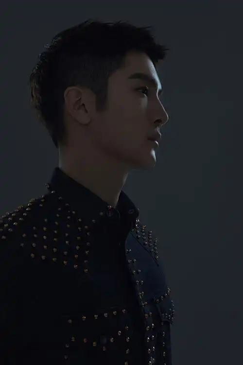 高冷男神盛一伦最新俊朗帅气写真图片_明星_美桌网