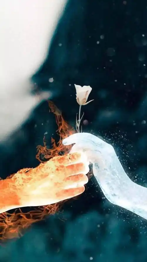 抖音精选壁纸手机锁屏壁纸