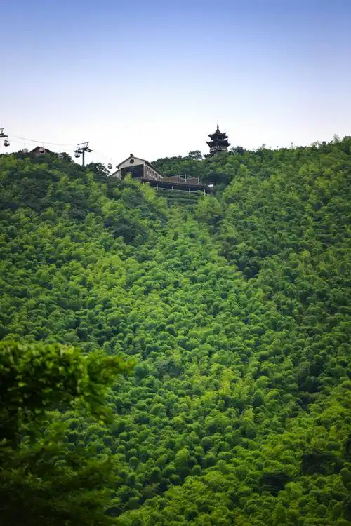 中国最美的深氧界宜兴竹海