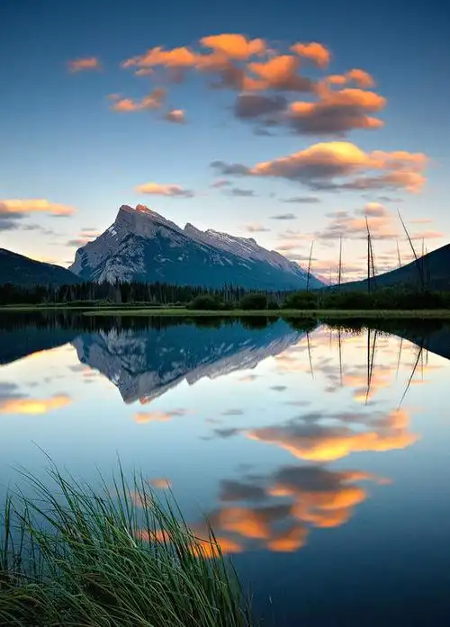 唯美 小清新 治愈 大气磅礴 摄影 人物 植物 怀旧 封面 风景