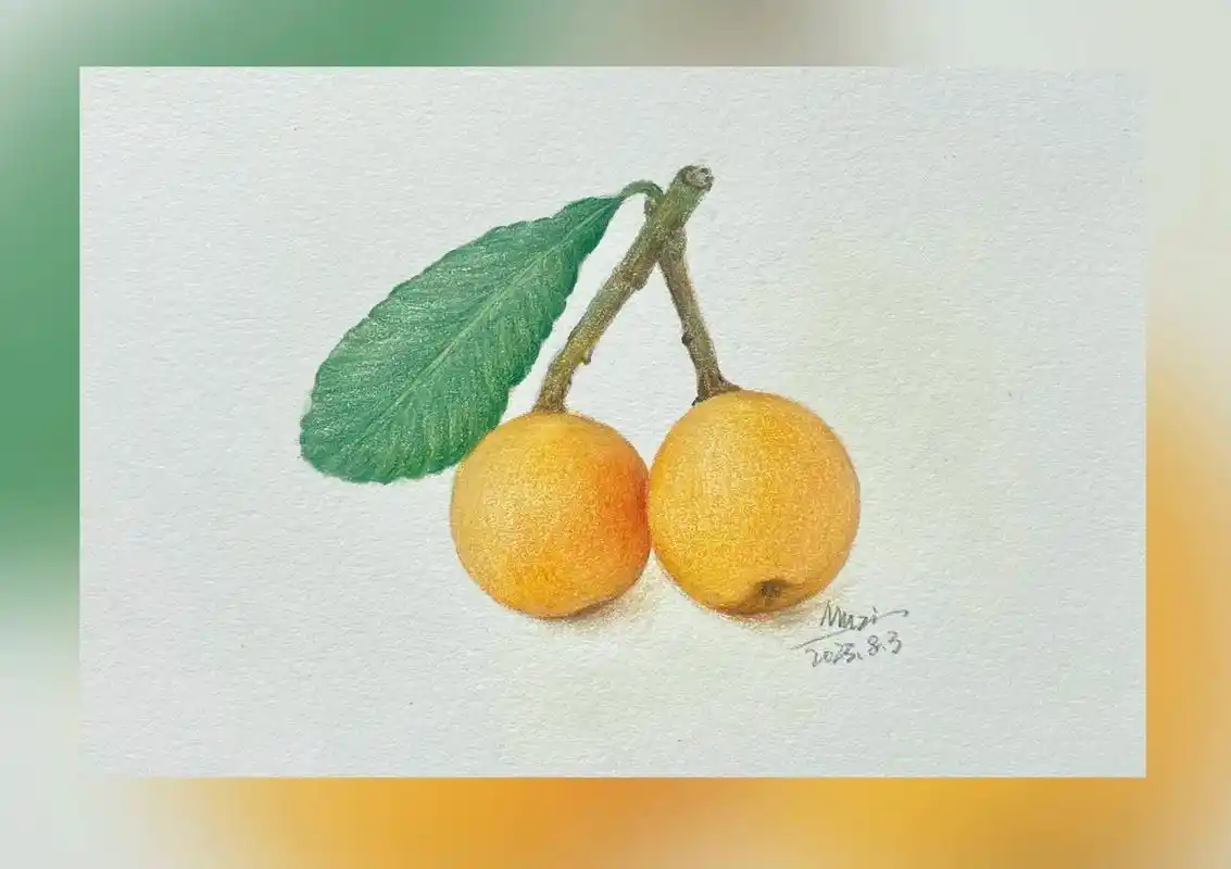 跟着抖音学画画 彩铅水果④枇杷#彩铅画画入门教程 #一学就 - 兑趑