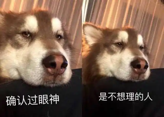 "皮一下很开心"呀!