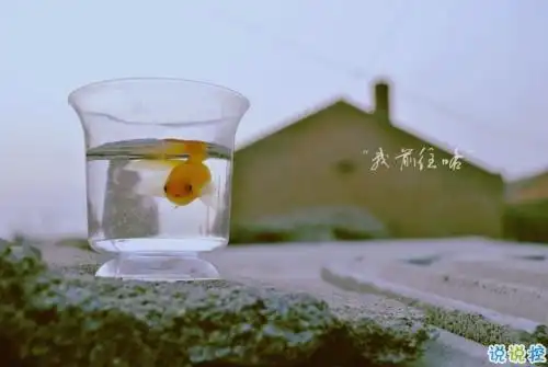 希望你也有在好好喜欢我,不是一般和随随便便喜欢一下就罢,是想和我一