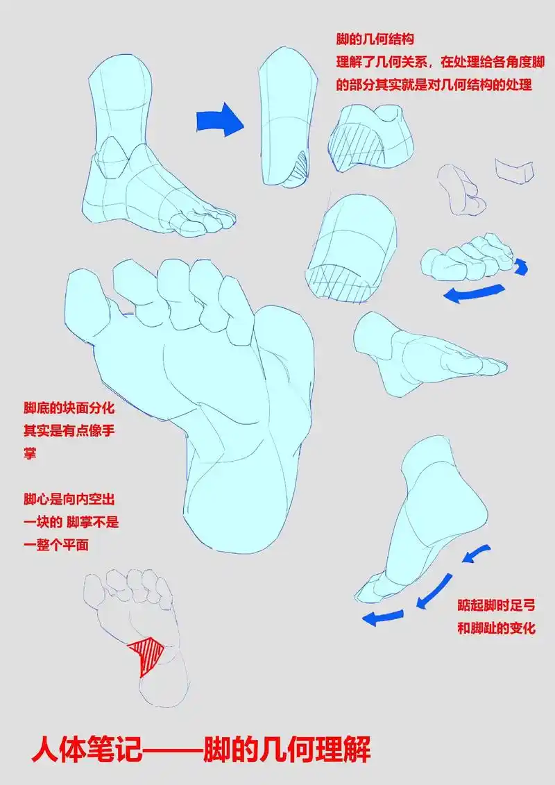 总结了一些各角度脚的画法.#板绘 #画画 #人体动态 #人体 - 抖音