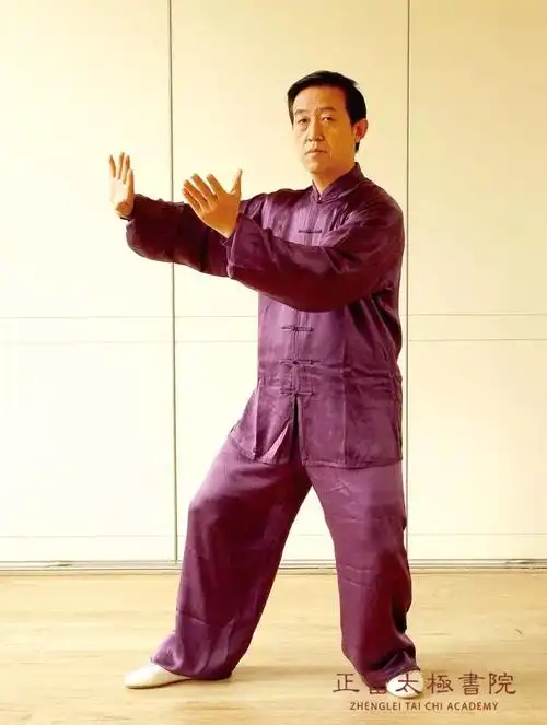 陈正雷讲解陈式太极拳精要十八式第二式金刚捣碓