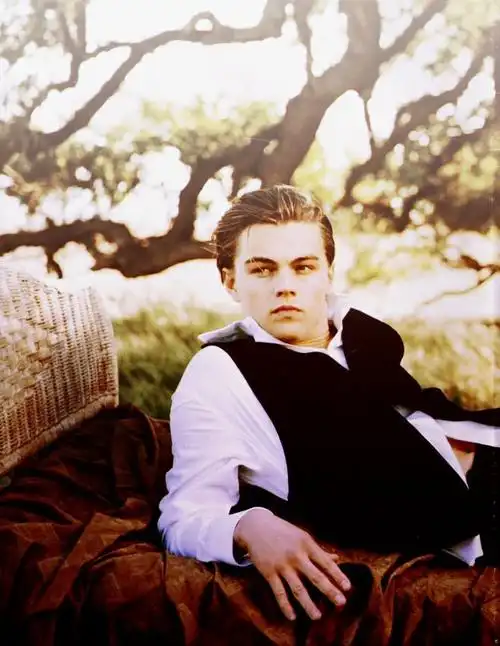 多少人曾爱慕你年轻时的容颜——小李子