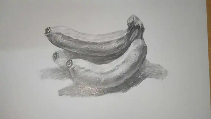 素描二年级(香蕉)