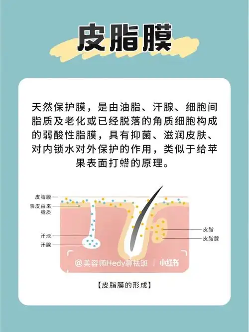 92什么是皮脂膜皮脂膜有什么作用