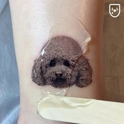 混沌针法暴力写实71