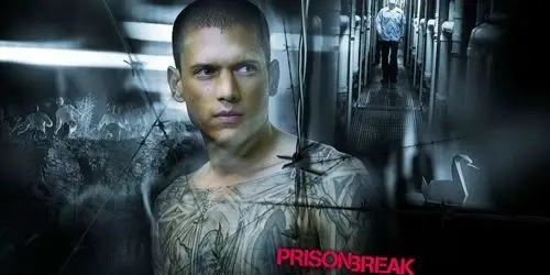 《越狱》回归让我们怀念了一把美剧青春,但炒"老剧"冷饭终究不是出路