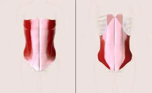 人鱼线,马甲线,v字腹肌,练习方法全在这里