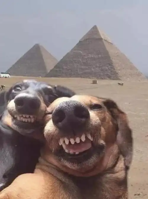 搞笑图片幽默段子笑话大姐你衣服是不是太小了啊勒成那样