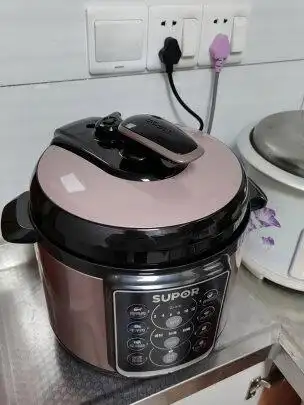 苏泊尔电压力锅e0故障