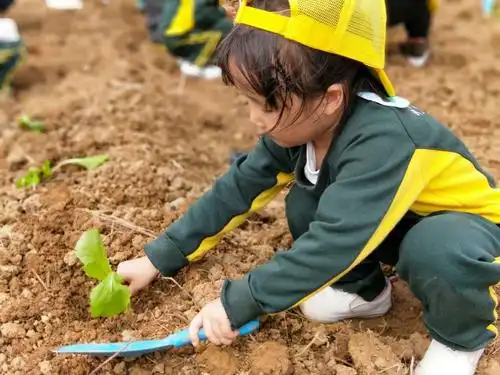 贵祥苑汇佳幼儿园秋游记——k3c班