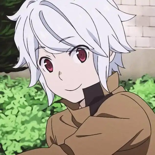 我最崇拜的男主角#二次元 #动漫 #在地下城寻求邂逅否搞错了 - 抖音