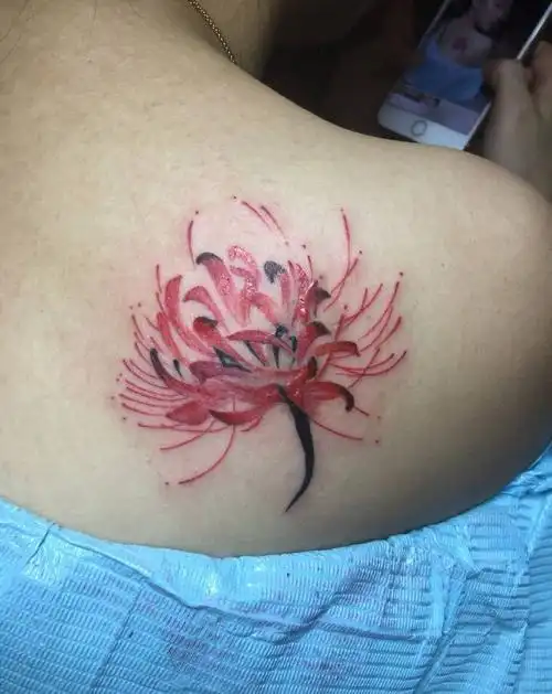 彼岸花纹身图片_肩部欧美植物纹身图案