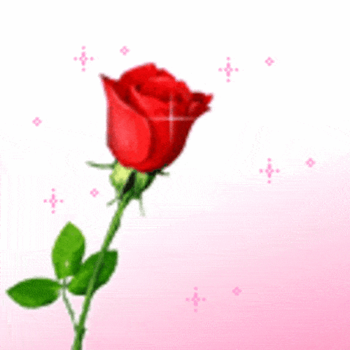 600_600gif 动态图 动图