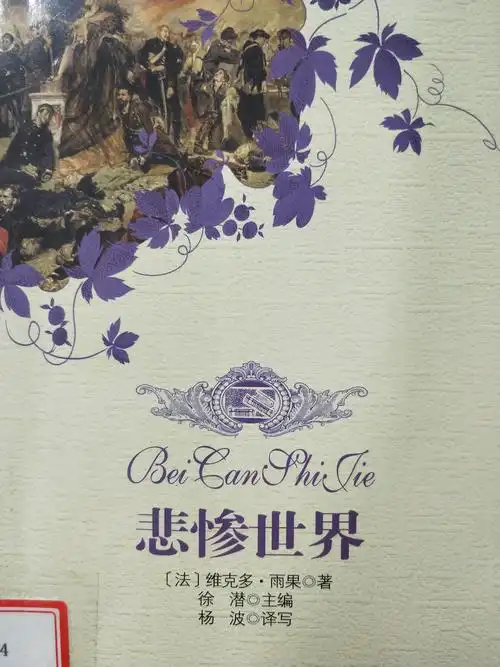 雨果的悲惨世界