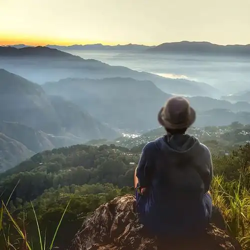 最近保存的一些头像#新年快乐漫游指南##拯救不开心