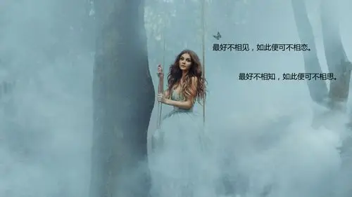 一生只爱一个人一世只怀一种愁