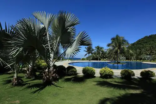 三亚归来,迷醉那阳光,沙滩,碧海,椰风.