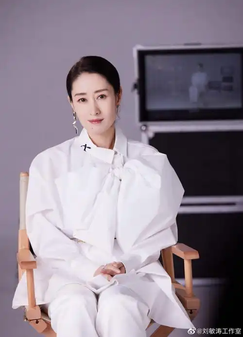 刘敏涛一口气追了14集女士的法则