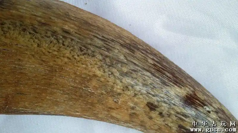 明代原生态老犀大角25厘米550克,,清热,解毒,镇惊,喜欢不要错过!