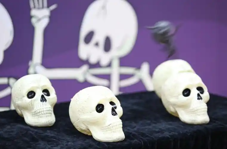 小鬼齐聚怪兽大学,万圣游园尖叫之夜!