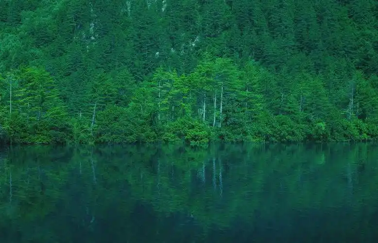 游走在青山绿水间,这是美桌网为你准备的电脑桌面壁纸,愿你