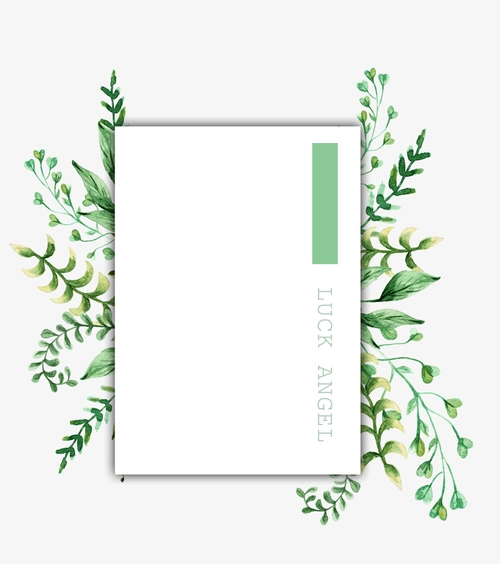 清新小文艺边框