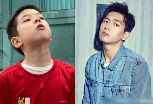 霍思燕儿子撞脸明星,人送外号"小李现",未来可演幼时的男主?