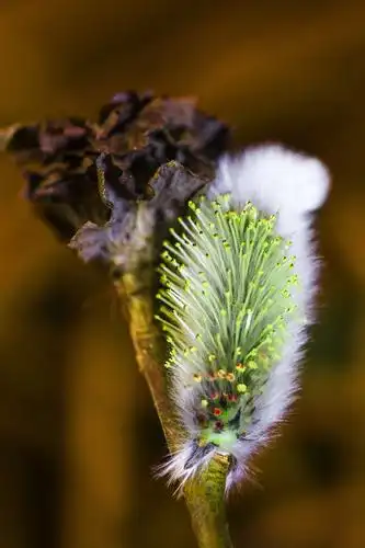 转着圈儿砍 上方,阳光拿茅往死里扎 脚下草的针咬着牙刺 曾经她不傲娇